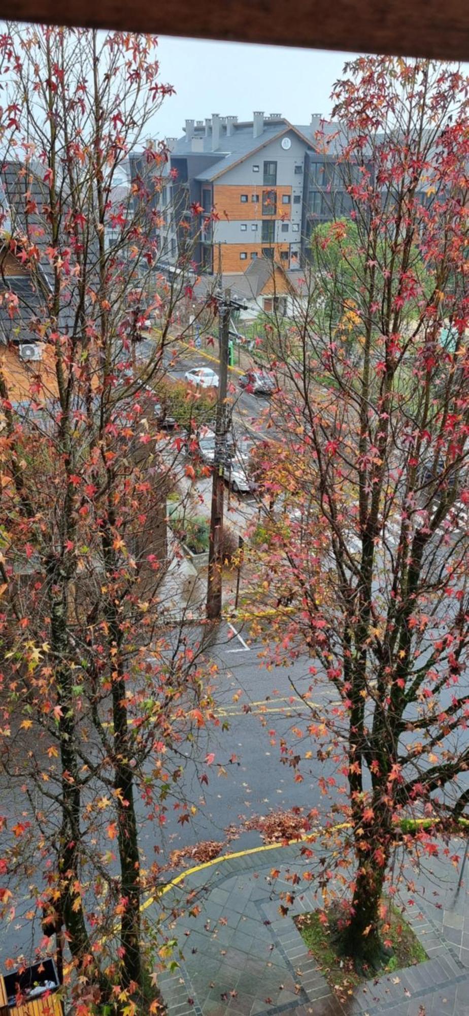 Gramado Top Centro Dış mekan fotoğraf